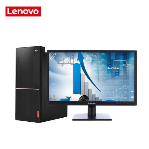 大鸡巴视频在线观看联想（Lenovo）扬天M6201C 商用台式机(I3-6100 4G 1T  DVD  2G独显  21寸)